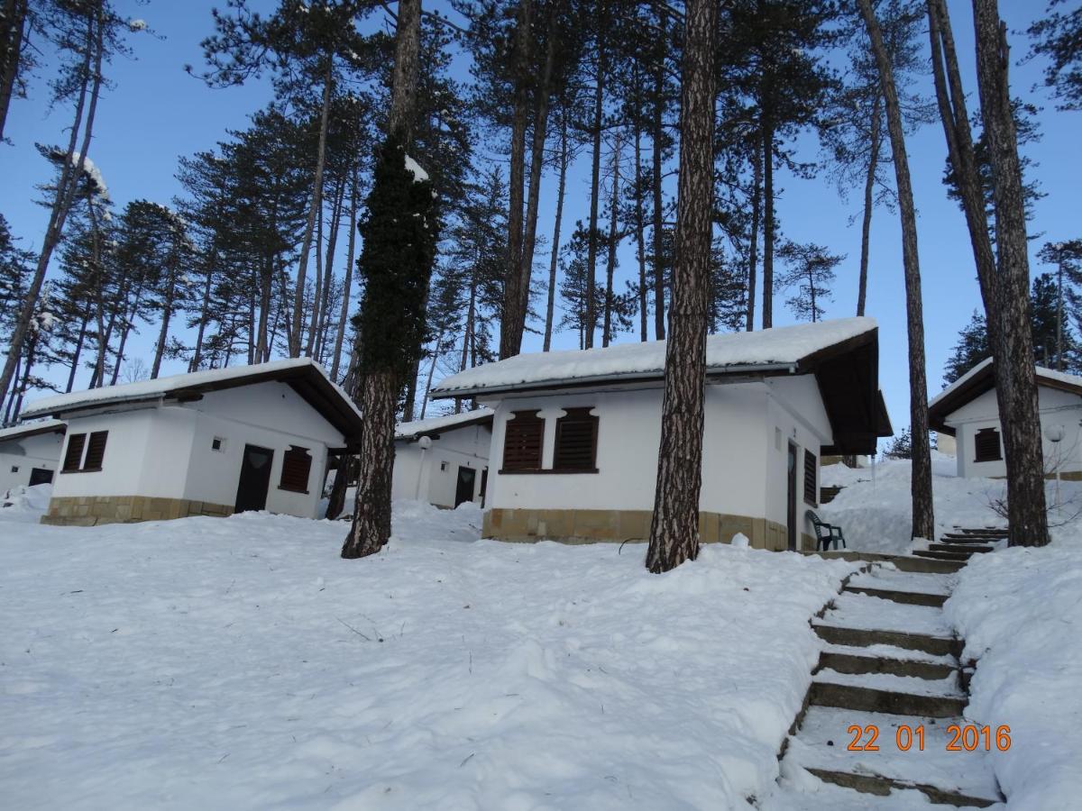 Complex Brashlyan Hotel Trjavna Szoba fotó